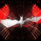 Video Art Dragon Chaos