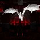 Video Art Dragon Chaos