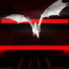 Video Art Dragon Chaos