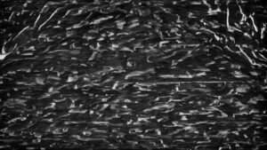 Grunge Soundwaves video art for rock and metal concert visuals