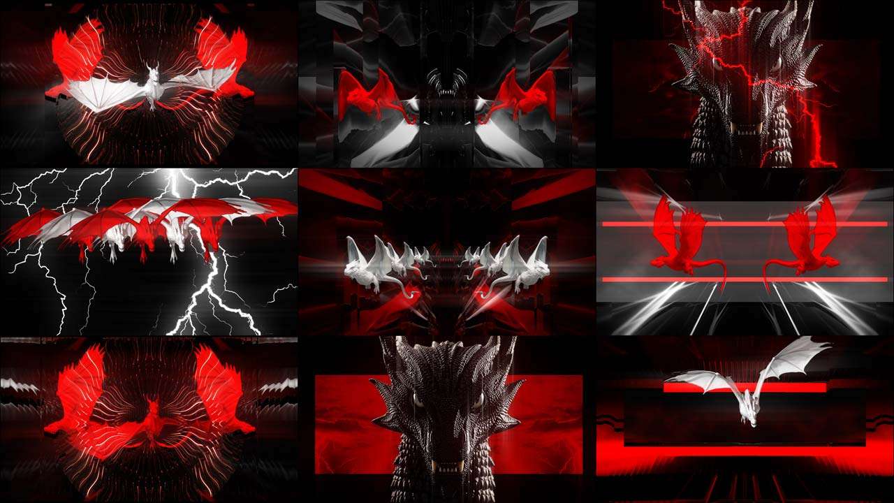 Video Art Dragon Chaos