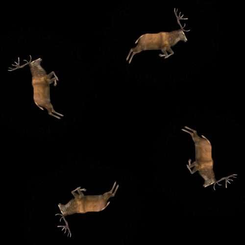 Ritual Stag video art for rock and metal concert visuals