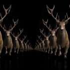 Ritual Stag video art for rock and metal concert visuals