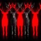 Ritual Stag video art for rock and metal concert visuals