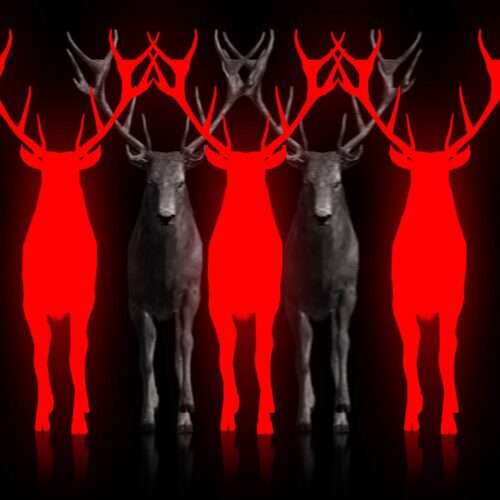 Ritual Stag video art for rock and metal concert visuals