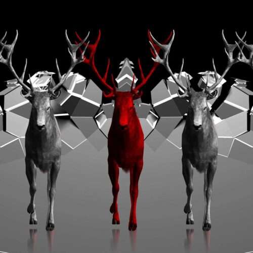 Ritual Stag video art for rock and metal concert visuals