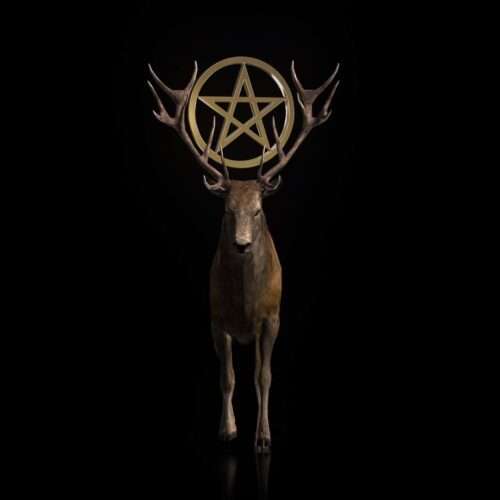 Ritual Stag video art for rock and metal concert visuals
